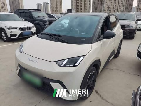 2023 BYD Seagull Freedom Edition - ავტომობილი ჩინეთიდან
