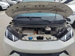 BYD Seagull Freedom Edition - ფოტო 19