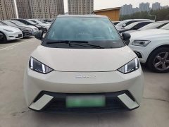 BYD Seagull Freedom Edition - ფოტო 2