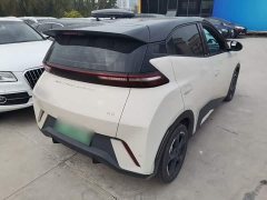 BYD Seagull Freedom Edition - ფოტო 6