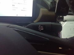 XPeng P5 460G - ფოტო 13