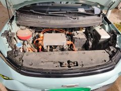 Geely Geometry E Firefly 320KM Cute Tiger 4-Seater - ფოტო 19