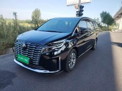 Buick GL8 ES Luxe Enjoyment Edition - ფოტო 1