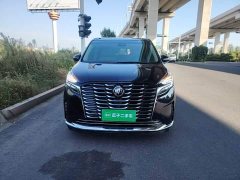 Buick GL8 ES Luxe Enjoyment Edition - ფოტო 2