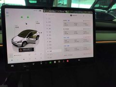 Tesla Model Y Rear-Wheel Drive - ფოტო 11