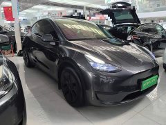 Tesla Model Y Rear-Wheel Drive - ფოტო 3