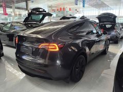 Tesla Model Y Rear-Wheel Drive - ფოტო 6