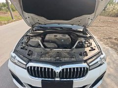BMW 5 Series 530Li Premier M Sport Package - ფოტო 19
