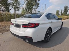 BMW 5 Series 530Li Premier M Sport Package - ფოტო 6