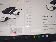 Tesla Model 3 Rear-Wheel Drive - ფოტო 11