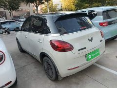 Wuling Binguo 203km Comfort Edition - photo 4