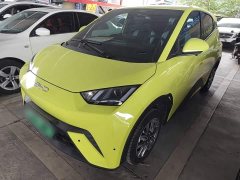 BYD Seagull Glory Edition 305km Vitality Version - ფოტო 1
