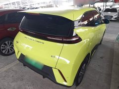 BYD Seagull Glory Edition 305km Vitality Version - ფოტო 6