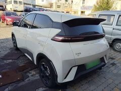 BYD Seagull Freedom Edition - фото 4
