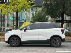 Geely Geometry E Firefly 401KM Thunder Tiger 4-Seater - ფოტო 4