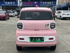 FAW Besturn Xiaoma 170km Vitality Edition - ფოტო 4