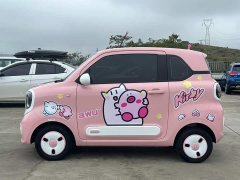FAW Besturn Xiaoma 170km Vitality Edition - ფოტო 7