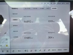 Li Auto L9 Pro - ფოტო 8