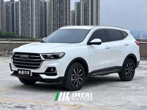 2024 Haval H6 National Trend Edition 1.5T Automatic Urban Version - ავტომობილი ჩინეთიდან