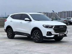 Haval H6 National Trend Edition 1.5T Automatic Urban Version - ფოტო 2