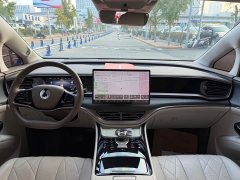 Denza D9 DM-i 970 AWD Flagship - ფოტო 10