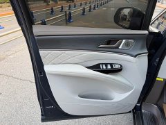 Denza D9 DM-i 970 AWD Flagship - ფოტო 13