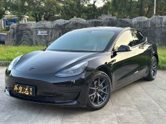 Tesla Model 3 Rear-Wheel Drive - фото 1