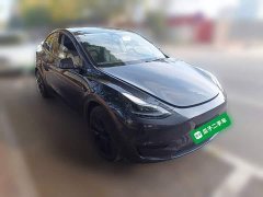 Tesla Model Y Rear-Wheel Drive - photo 3