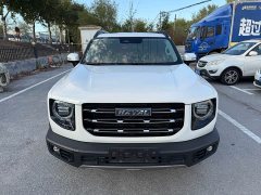 Great Wall Dachshund 1.5T DCT Two-Wheel Drive Malinois Edition - ფოტო 2