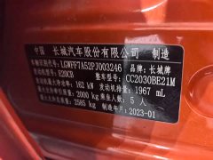 Tank 300 Off-Road Edition 2.0T Conqueror - ფოტო 5