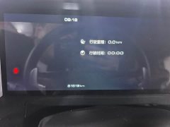 Tank 300 Off-Road Edition 2.0T Conqueror - ფოტო 9