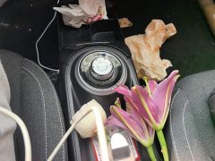 Wuling Binguo 203km Light Enjoy Edition - ფოტო 10