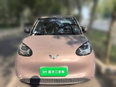 Wuling Binguo 203km Light Enjoy Edition - ფოტო 2
