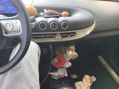 Wuling Binguo 203km Light Enjoy Edition - ფოტო 9