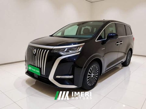 2026 Denza D9 EV 620 Premium Edition - car from China