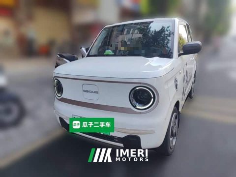 2023 Geely Panda Mini 200km Agile Panda - ავტომობილი ჩინეთიდან