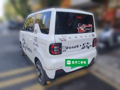 Geely Panda Mini 200km Agile Panda - ფოტო 4