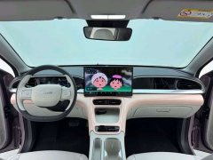 Geely Star Wish 310km Dream Edition - ფოტო 2