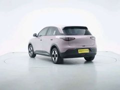 Geely Star Wish 310km Dream Edition - ფოტო 3