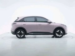 Geely Star Wish 310km Dream Edition - ფოტო 4