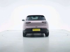 Geely Star Wish 310km Dream Edition - ფოტო 6