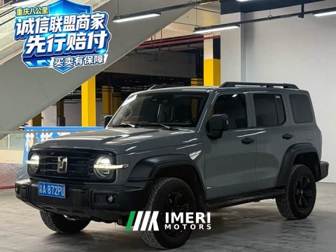 2024 Tank 300 2.0T Challenger - car from China