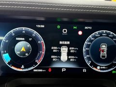 Tank 300 2.0T Challenger - ფოტო 14