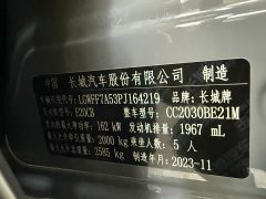 Tank 300 2.0T Challenger - ფოტო 20