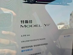 Tesla Model Y L Long Range All-Wheel Drive - ფოტო 8