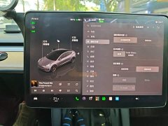 Tesla Model 3 Performance All-Wheel Drive - ფოტო 20