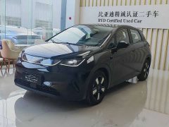 BYD Dolphin Smart Drive 410km Fashion Edition - ფოტო 1