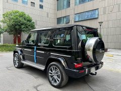 Mercedes-Benz G-Class G 450 d Korean Spec - ფოტო 6
