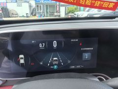 Maxus T90 2.0T 2WD Version - ფოტო 11