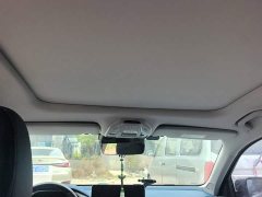Geely Xingrui 2.0T Diesel Premium - ფოტო 19